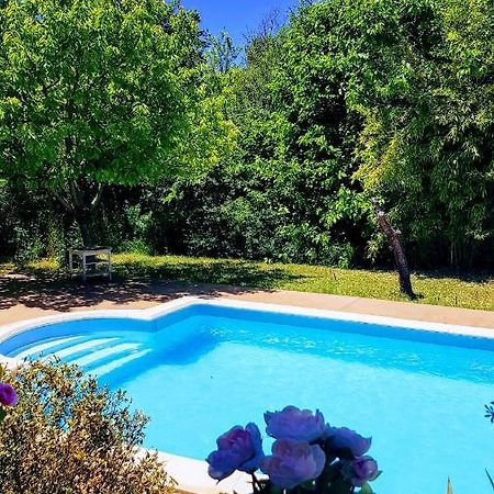 Studio Dans La Villa Les Cigales Lézignan-Corbières エクステリア 写真